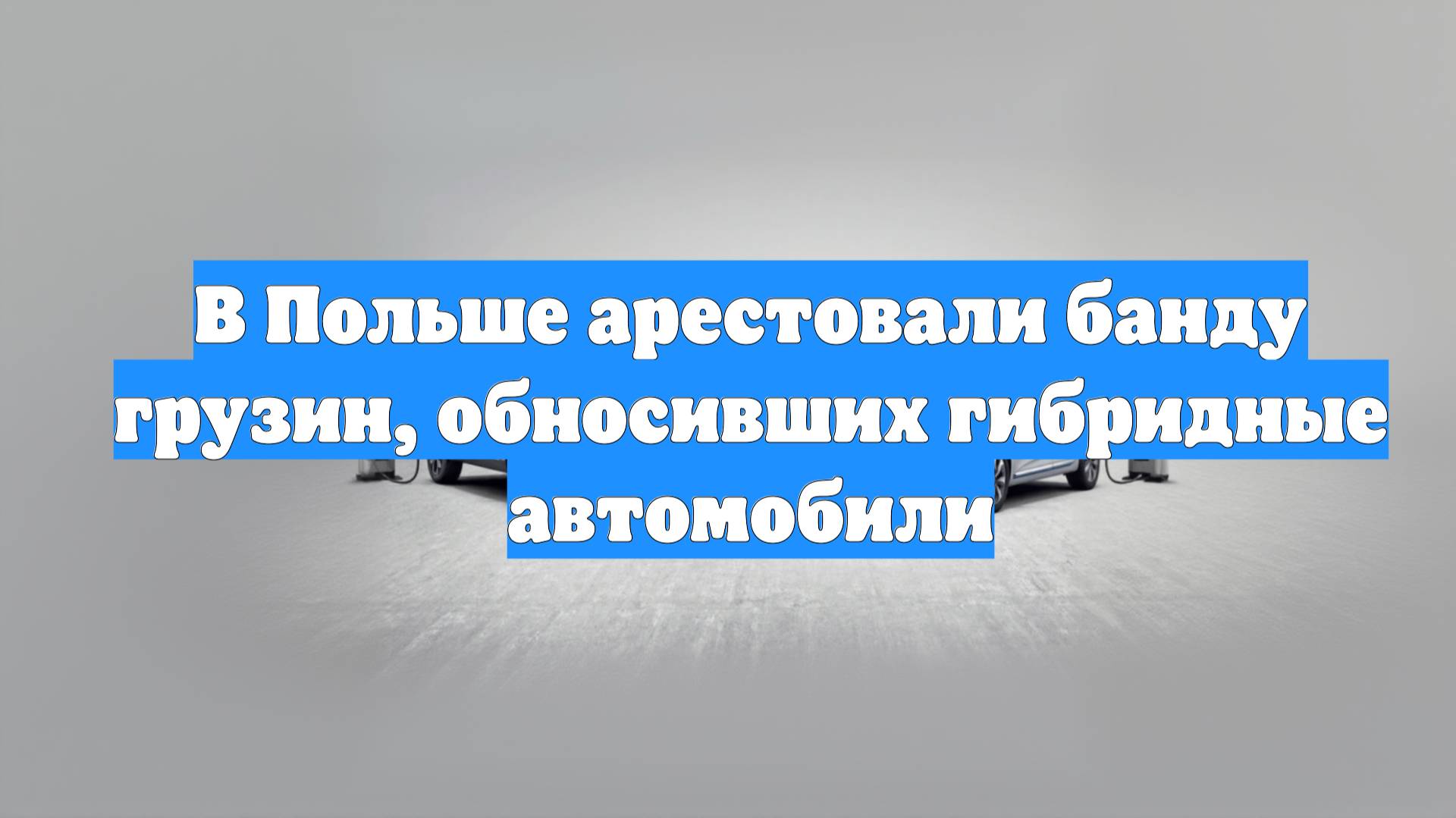 В Польше арестовали банду грузин, обносивших гибридные автомобили