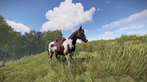 Крупный план лошади в Rust, фыркающей в траве