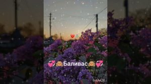 💞🙈новая цыганская полька 2025 года ищут все 💞🙈