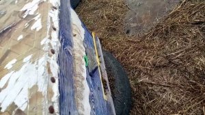 выставка пчел 2025