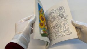 Летним днём в Корее. Раскраски-антистресс, которые подарят тёплые чувства