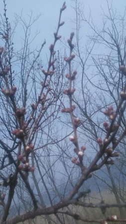 VID_20250317_124418