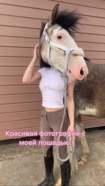Удачное Фото Выложила В Инстаграмм🤫💗 #лошади #лошадь #chile c 110 смотреть онлайн