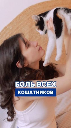 А ваш питомец тоже думает, что запись видео - это его личное приглашение на сцену? 😼