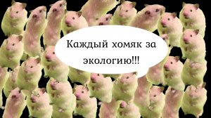 Каждый хомяк за экологию