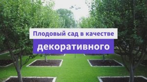 Плодовый сад в качестве декоративного
