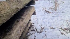 VID-20250318-WA0004.mp4