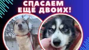 Ваша помощь = чья-то жизнь!