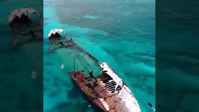 Затонувший корабль HMAS Protector на острове Херон. смотреть онлайн