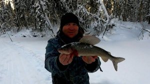 Крупный ХАРИУС \ Вот это мы удачно попали