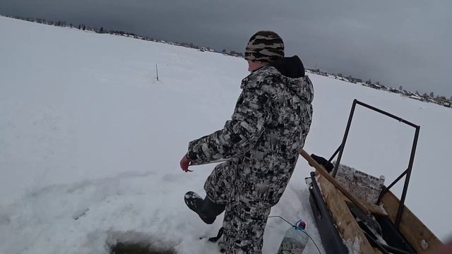 НАЛИМ ПРОВЕРКА смотреть онлайн