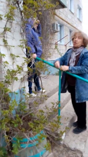 Здесь вам не Турция,чтоб проявлять милосердие к уличным кошками безнаказанно! смотреть онлайн