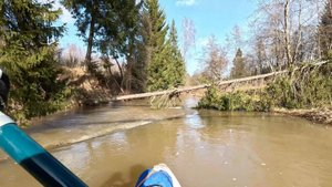 Весенний сплав по реке Волгуша в половодье