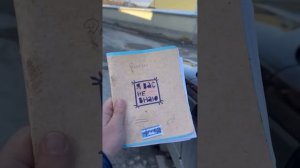 Добро порождает добро #share #food #туристуз #shortsvideo #streetfood