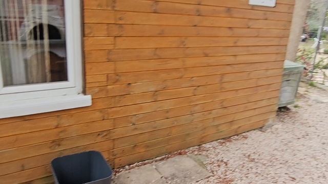 Понеслось...Начало положено! Новые цветочки на новые клумбы!