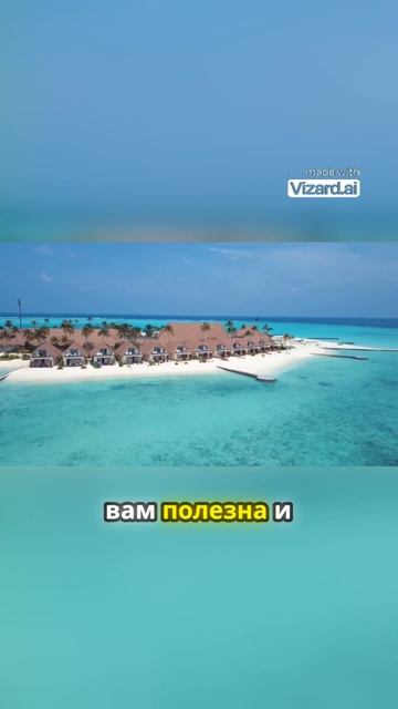 ️ Откройте для себя лучшее на Мальдивах с рейтингом 9,9! смотреть онлайн