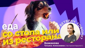 Кормим со стола или из ресторана