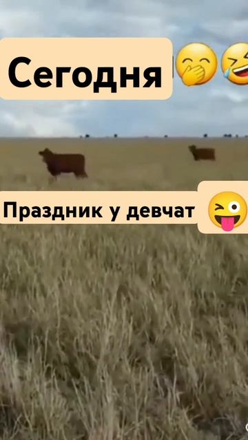 Просто праздник какой-то 😅