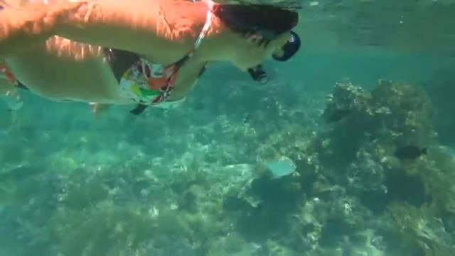Красное море (Sentido Oriental Dream Resort)