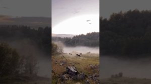 Напилася я маманя  - Биртман