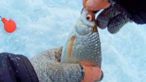 ВОТ ЭТО ПЛОТВА В СНЕГОПАД!! ЗИМНЯЯ МЕДИТАЦИЯ РЫБАКА