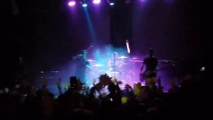 Animal Jazz - Здесь и сейчас