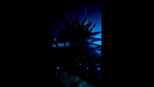 Память о Горшке (Сериал король и шут) (Спектакль Джо память о М. Ю. Горшеневе