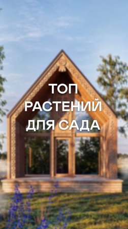 НЕЛЬЗЯ НЕ посадить это на участке
