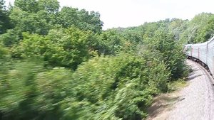 Перегон Борисоглебск - Рзд. 667 км. Снято из окна поезда