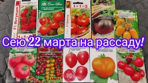 ЭТИ ТОМАТЫ ТОЧНО ПОСЕЮ 22 МАРТА 2025! НОВИНКИ И СОРТА ПРОВЕРЕННЫЕ ВРЕМЕНЕМ.