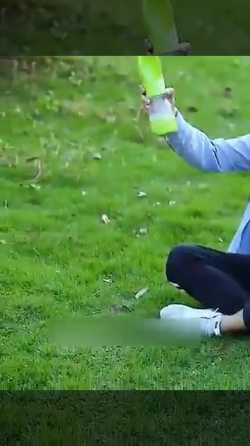 Pet Feeder Bowl смотреть онлайн