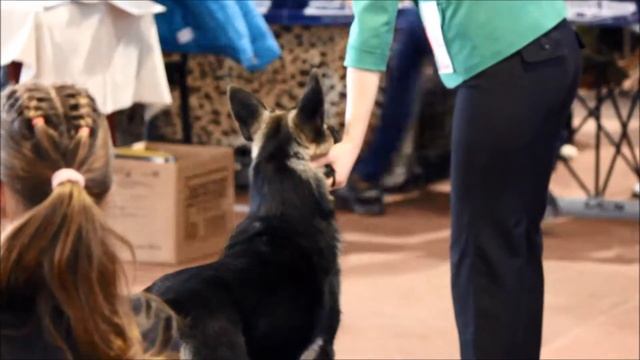 МВ Флорентина ЛБ Донецк март смотреть онлайн