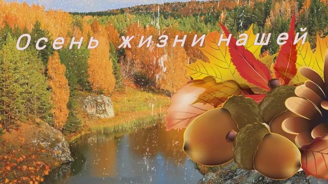 Лебеди летят...Ион Суручану смотреть онлайн