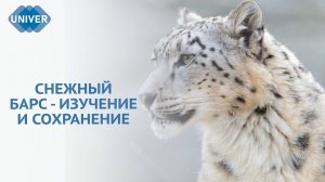 В КАЗАНИ ПРОШЛА МЕЖДУНАРОДНАЯ КОНФЕРЕНЦИЯ ПО СОХРАНЕНИЮ СНЕЖНЫХ БАРСОВ