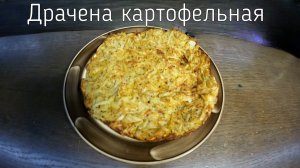 Драчена картофельная