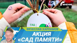 «Сад памяти» в России: как эколого-патриотическая акция помогает сохранить историю?