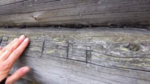 Бокситогорск-Радогощь-Шугозеро на мотоцикле. Глухой вепсский край. Конец апреля 2024 года