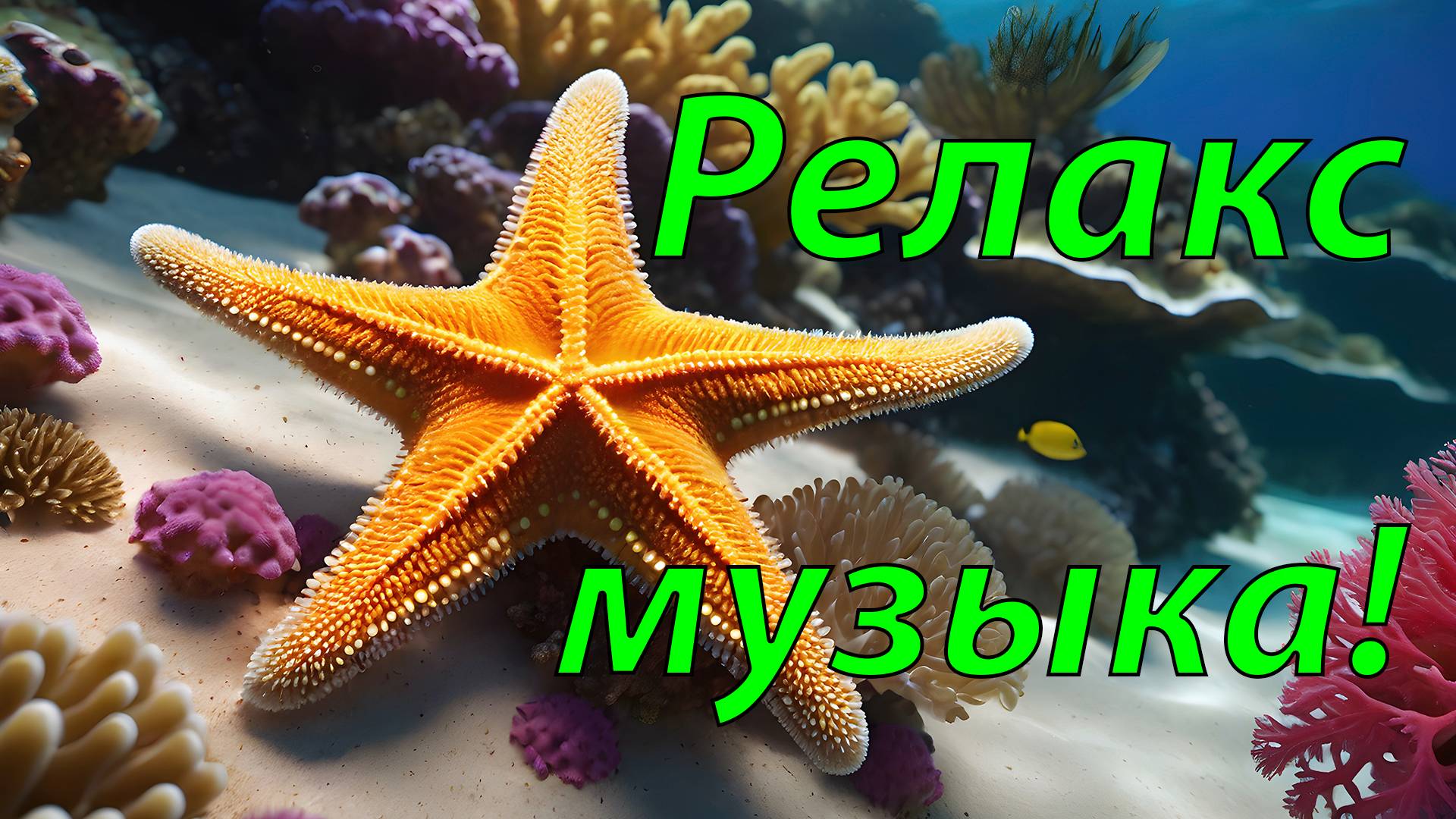 🐠 ПУТЕШЕСТВИЕ В МИР УМИРОТВОРЕНИЯ: МЕДИТАТИВНАЯ АНТИСТРЕСС МУЗЫКА ДЛЯ ВАШЕГО ДУШЕВНОГО РАВНОВЕСИЯ