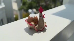 своими руками декор на Пасху из коробки от яиц 🪺