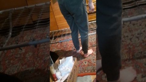 жизнь
