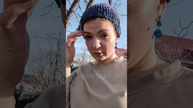 Кто вы, Таинственные Луковичные?) Вынос растений на улицу, юкка в воде, и итоги подзимнего посева