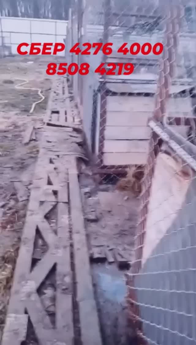 Нужен ремонт будок!