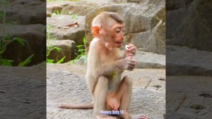 Poor Abandoned Baby Royston Crying No Sound Gog Hardly Hug To Bite Can Not Move Away