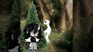 VID-20250107-WA0016.mp4