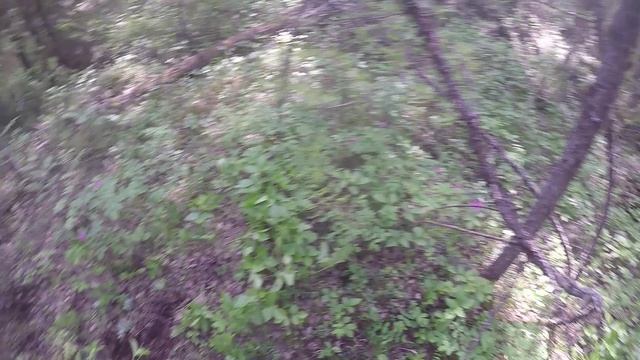 Буровое долото. Меганаходка.