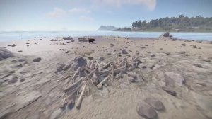 Поведение медведя в Rust, дикая природа в действии