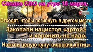 Сводка СВО на утро 18 марта. Нацики бегут из-под Волчанска и Липцов