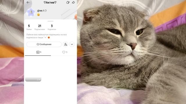 Как накрутить подписчиков и поднять актив в лайке в 2024 году // КАК СТАТЬ ПОПУЛЯРНЫМ В LIKEE
