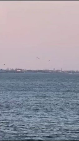 Ейск ! Лиман сейчас 18.03.2025 г.!