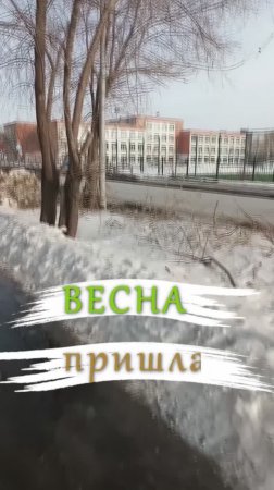 Март, начало весны!